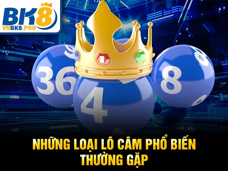 Những loại lô câm phổ biến thường gặp
